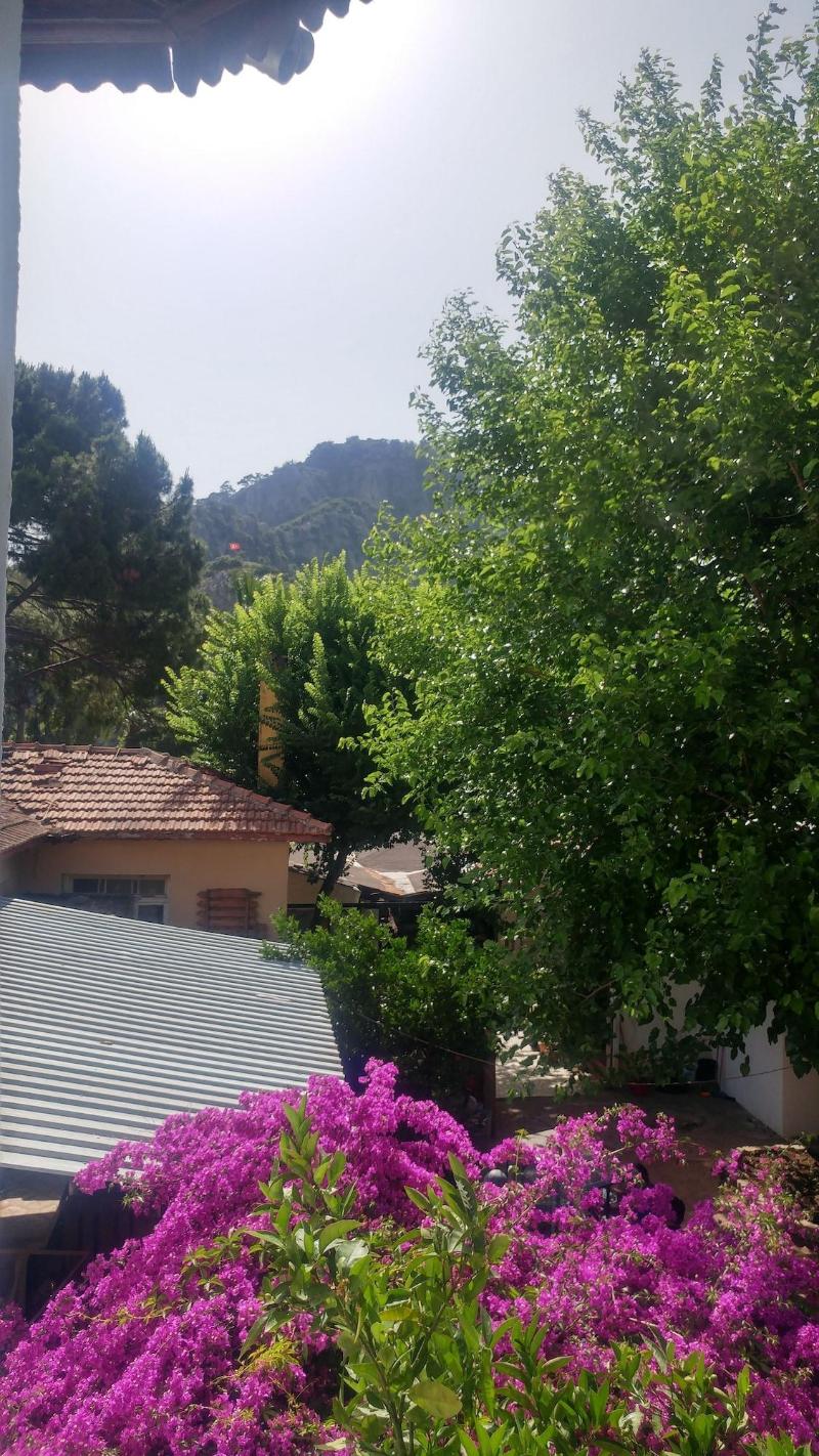 Nehir Dalyan Boutique Otel image