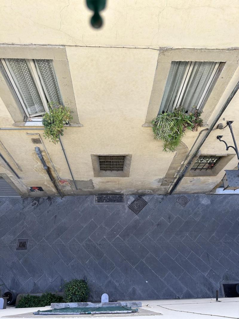 Allegra Toscana image