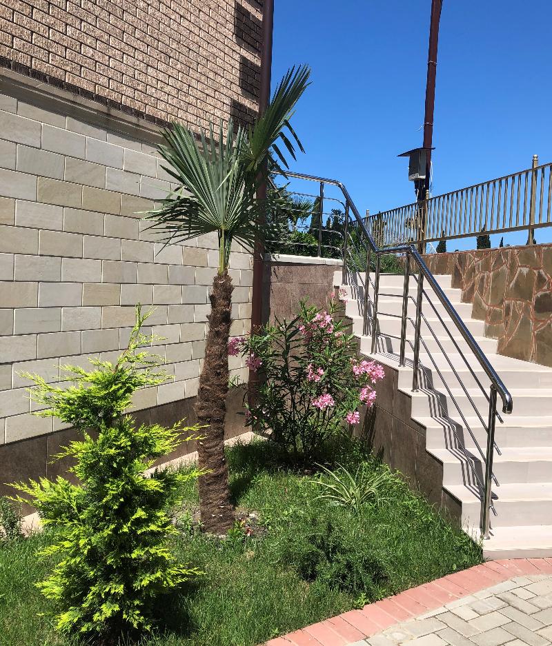 SUNCITY — photo 4
