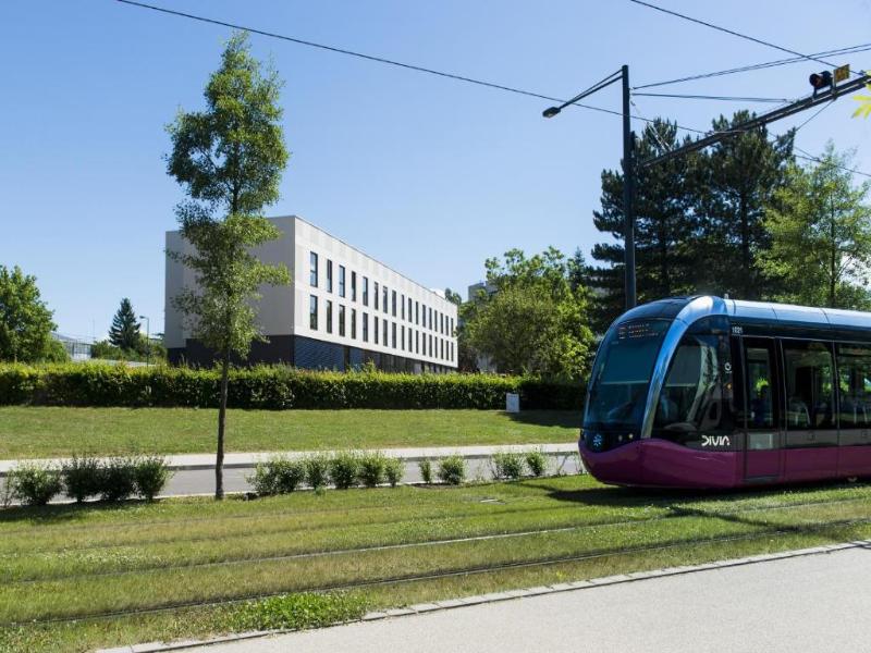 Adonis Dijon Maison Internationale image