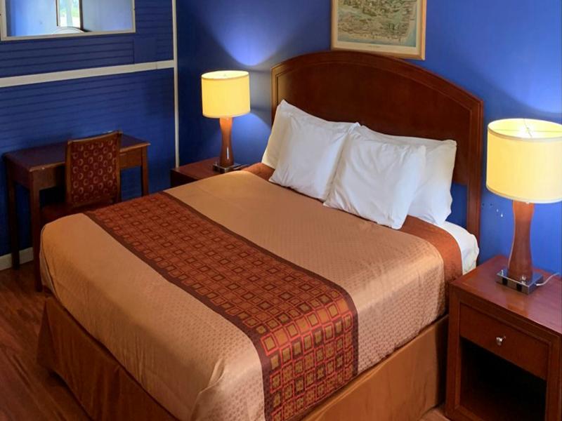 Hampton Motor Inn image