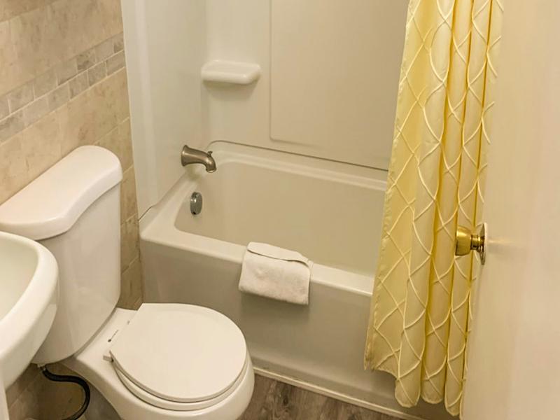 Hampton Motor Inn image