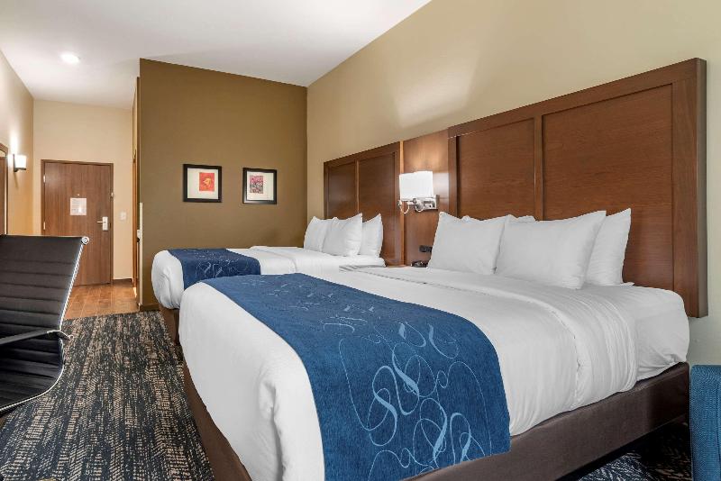 Comfort Inn Suites Downtown Near University image