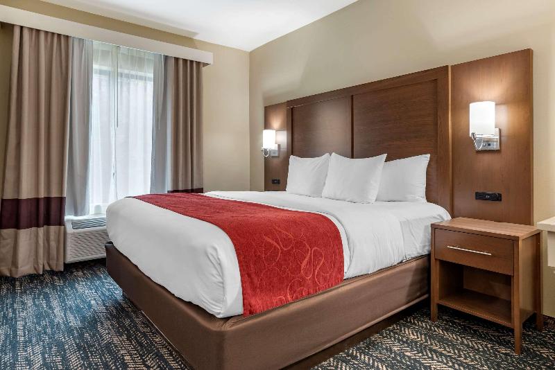 Comfort Inn Suites Downtown Near University image