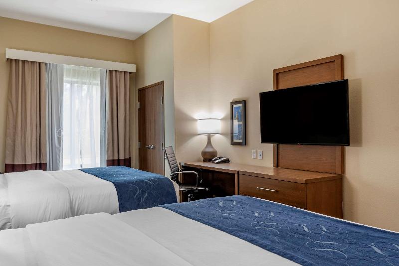 Comfort Inn Suites Downtown Near University image