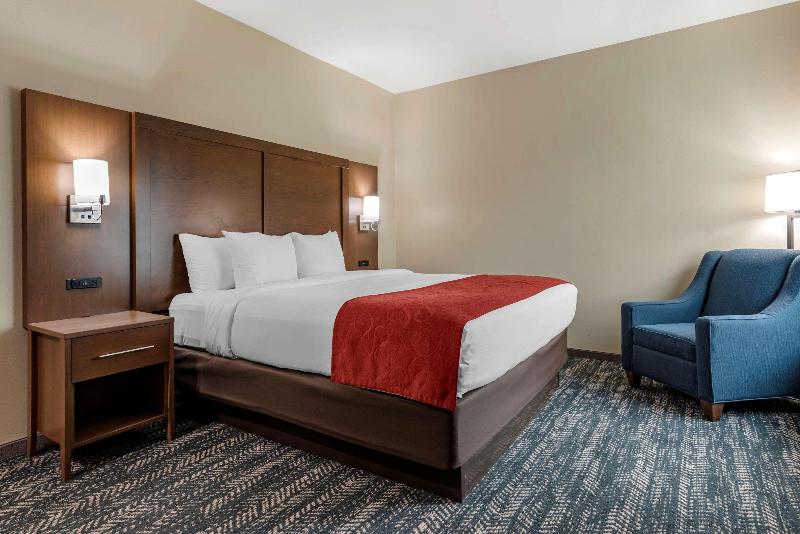 Comfort Inn Suites Downtown Near University image