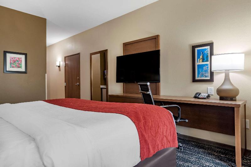Comfort Inn Suites Downtown Near University image