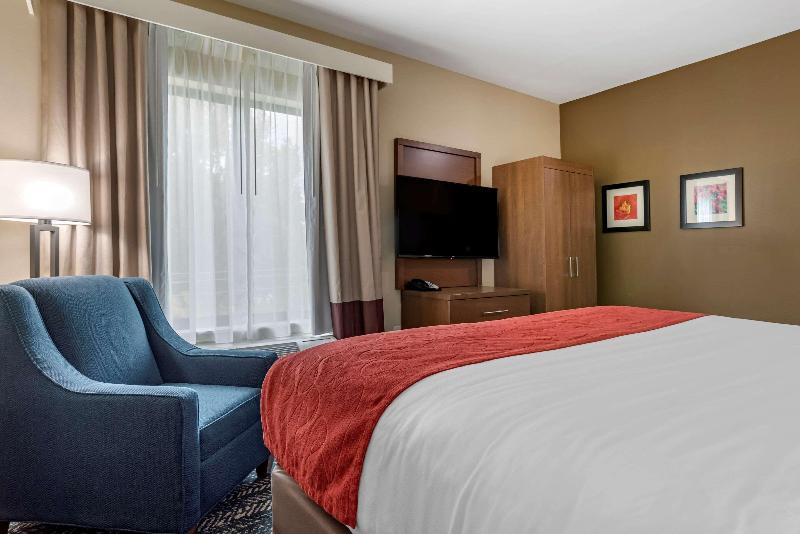 Comfort Inn Suites Downtown Near University image