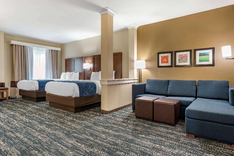 Comfort Inn Suites Downtown Near University image