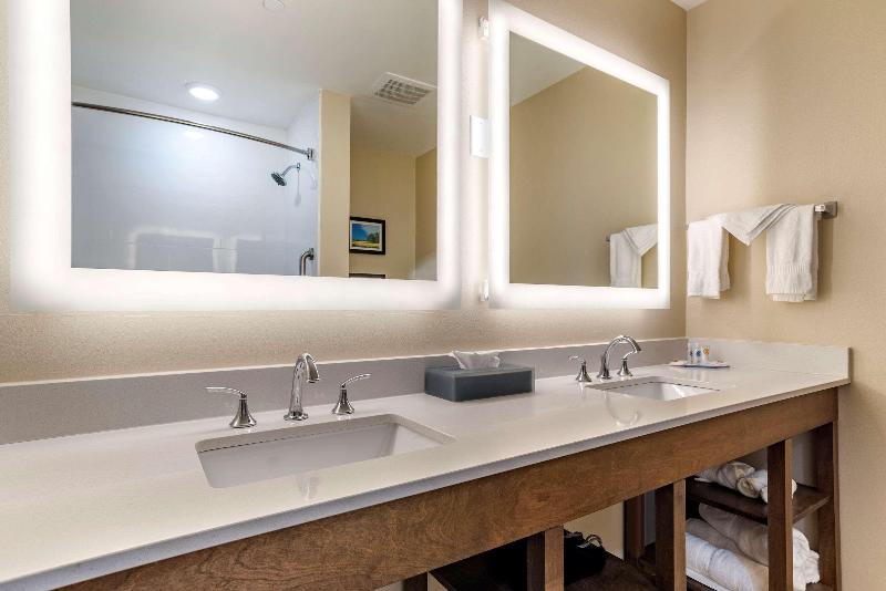Comfort Inn Suites Downtown Near University image