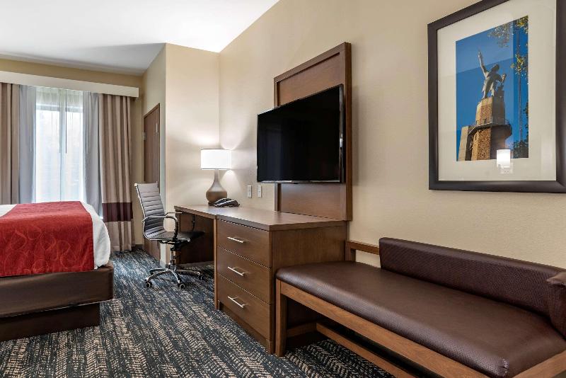 Comfort Inn Suites Downtown Near University image