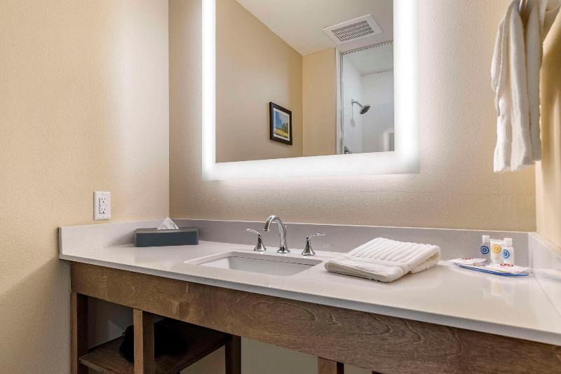Comfort Inn Suites Downtown Near University image