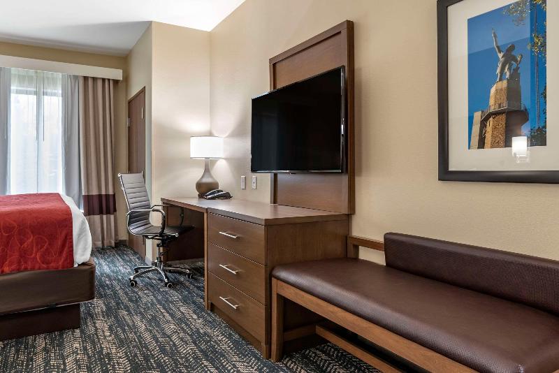 Comfort Inn Suites Downtown Near University image