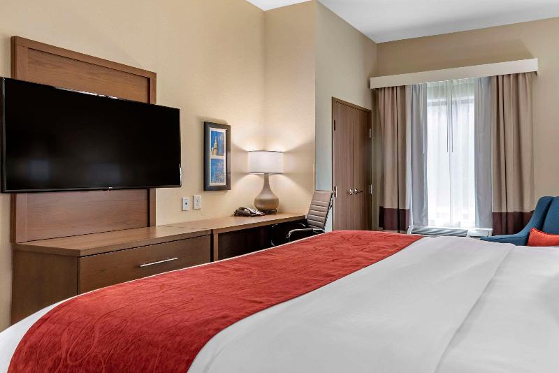 Comfort Inn Suites Downtown Near University image