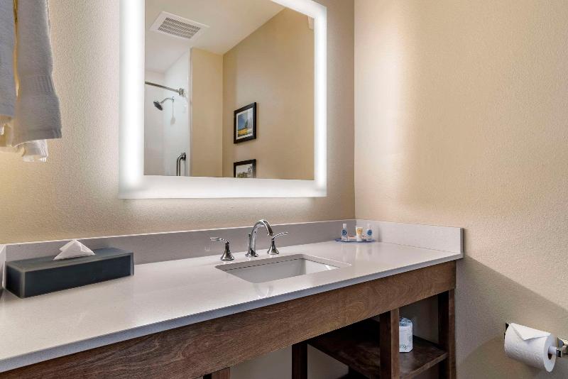 Comfort Inn Suites Downtown Near University image