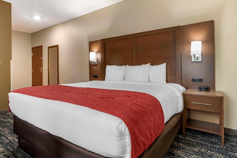 Comfort Inn Suites Downtown Near University image