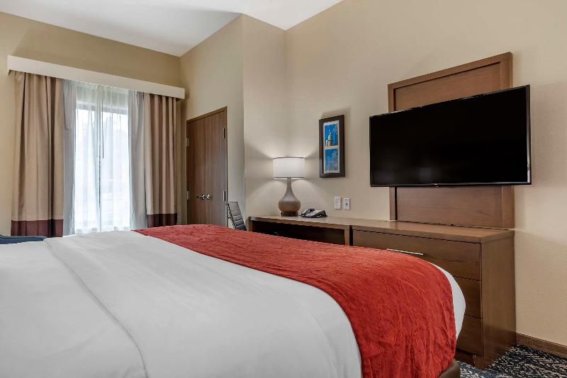Comfort Inn Suites Downtown Near University image