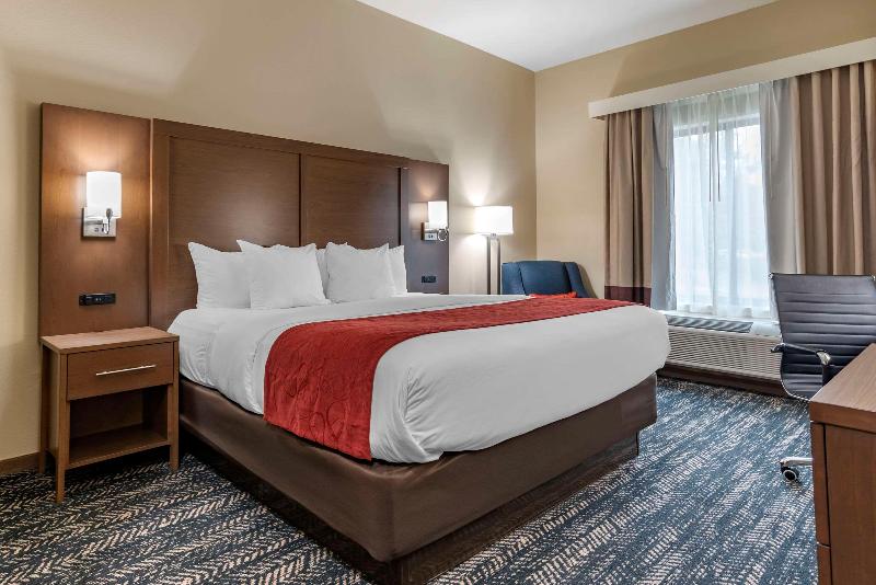Comfort Inn Suites Downtown Near University image