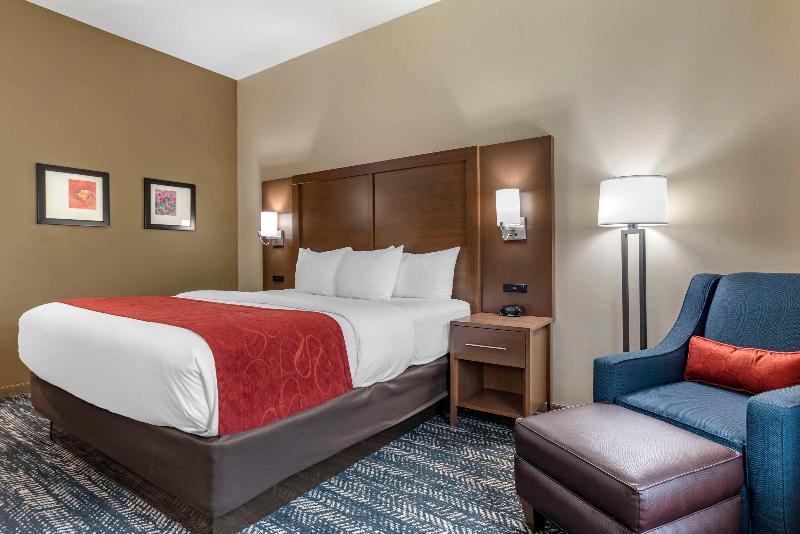 Comfort Inn Suites Downtown Near University image