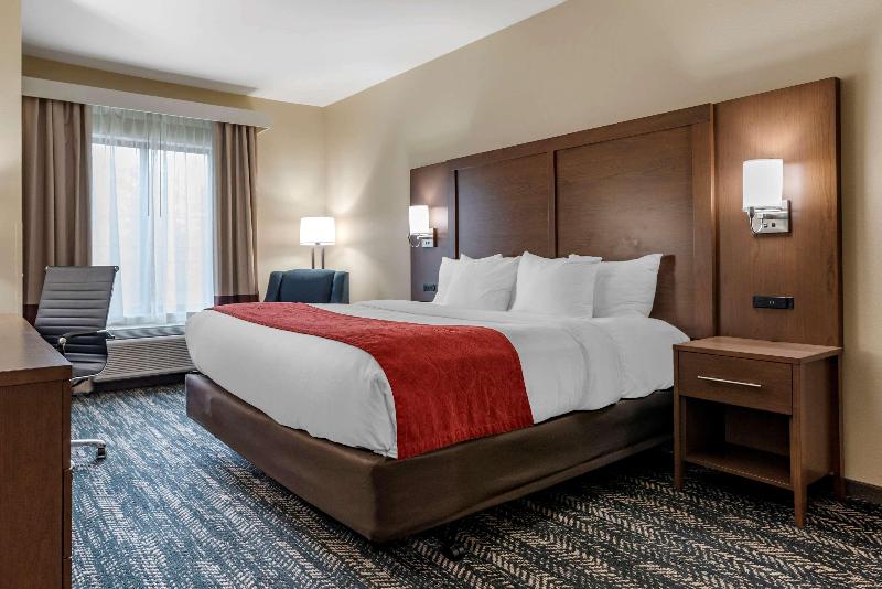 Comfort Inn Suites Downtown Near University image