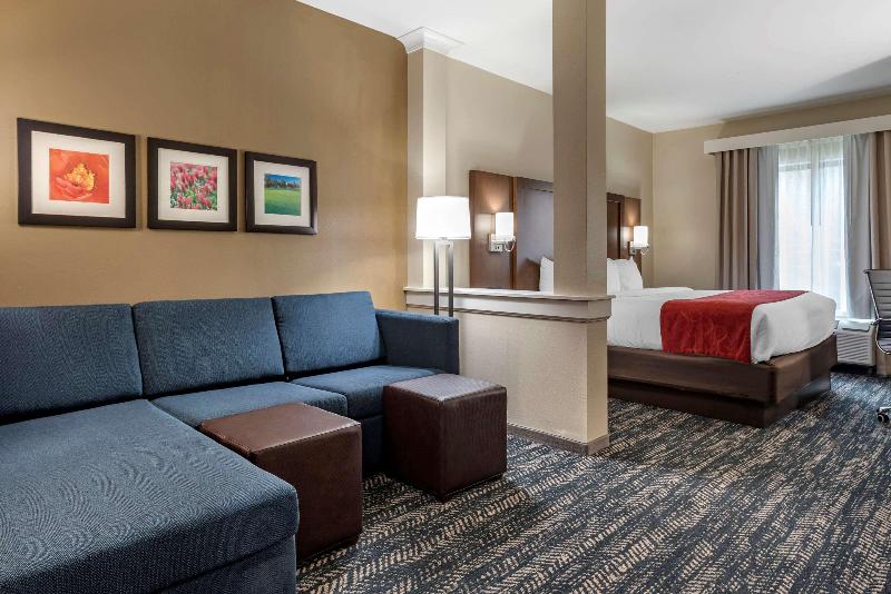 Comfort Inn Suites Downtown Near University image