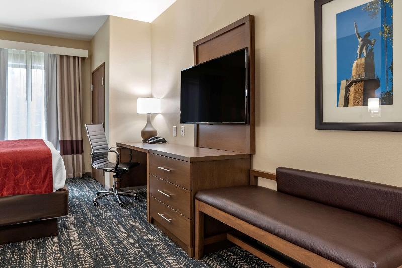 Comfort Inn Suites Downtown Near University image