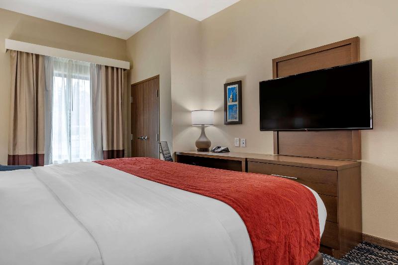 Comfort Inn Suites Downtown Near University image