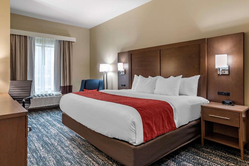 Comfort Inn Suites Downtown Near University image
