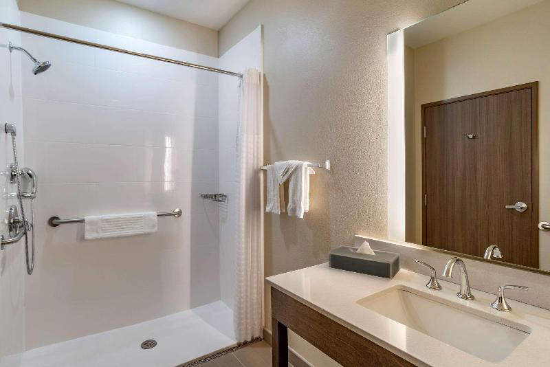 Comfort Inn Suites Downtown Near University image