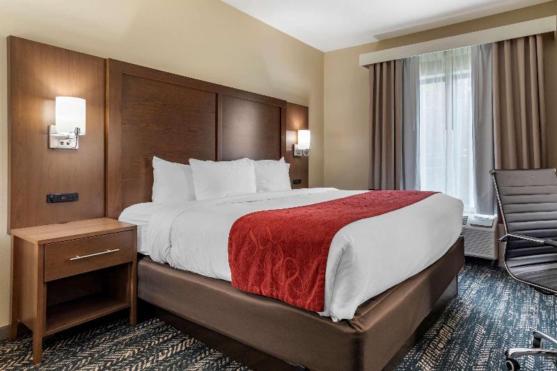 Comfort Inn Suites Downtown Near University image