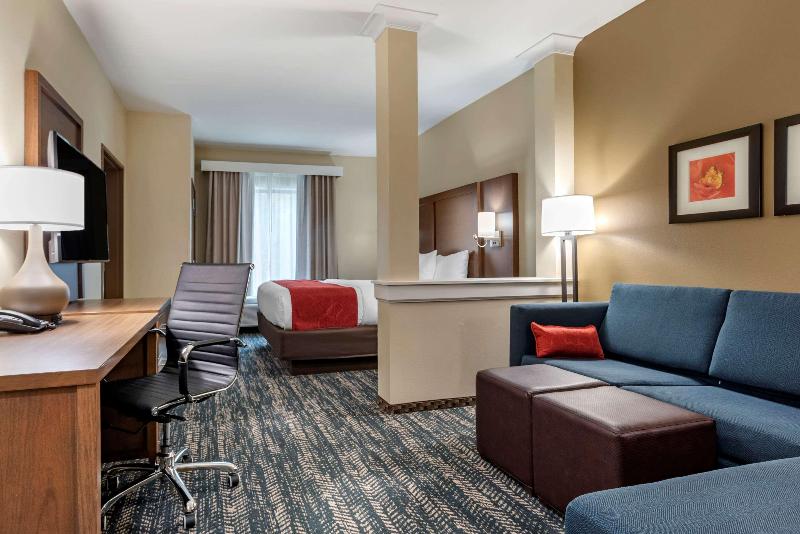 Comfort Inn Suites Downtown Near University image