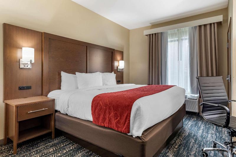 Comfort Inn Suites Downtown Near University image