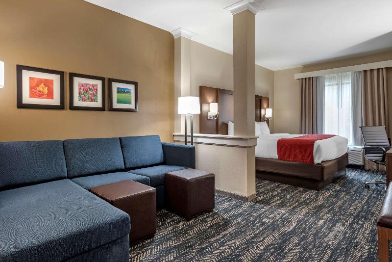 Comfort Inn Suites Downtown Near University image