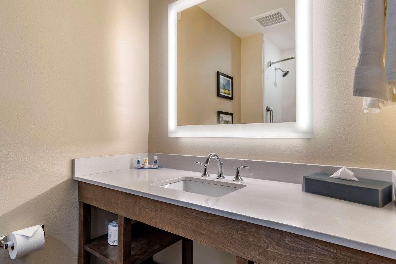 Comfort Inn Suites Downtown Near University image