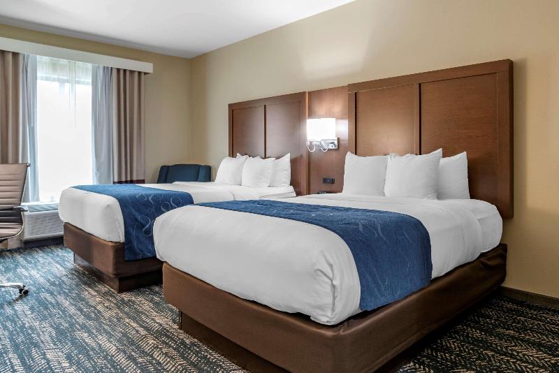 Comfort Inn Suites Downtown Near University image