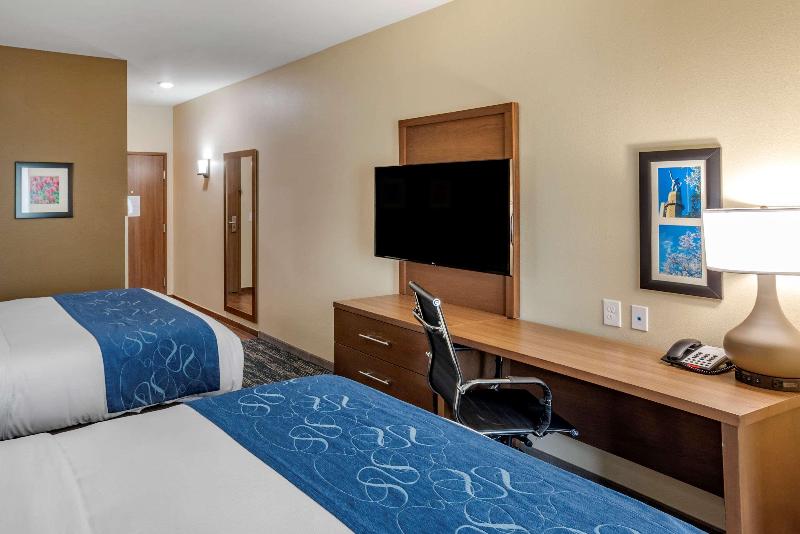 Comfort Inn Suites Downtown Near University image