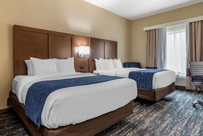 Comfort Inn Suites Downtown Near University image