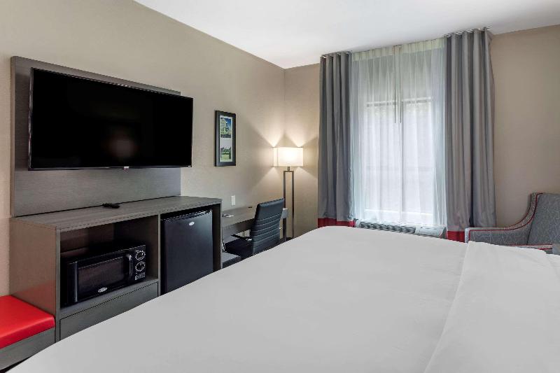 Comfort Inn Suites Olive Branch image