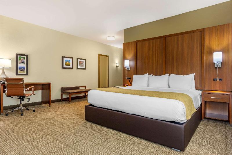 Comfort Inn & Suites Lakewood By Jblm image