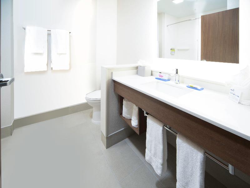 Holiday Inn Express Suites Fort Myers Airport IHG image