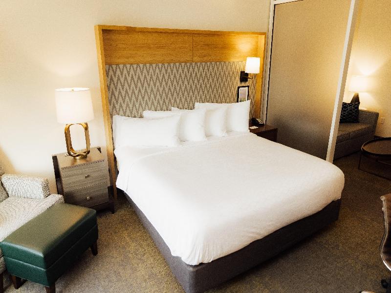 Holiday Inn Hotel And Suites Hopkinsville - Conven image