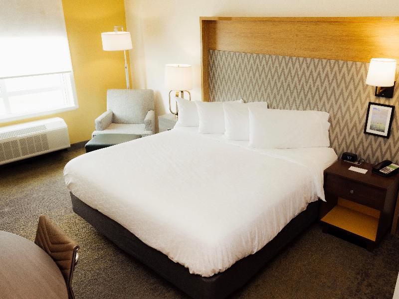 Holiday Inn Hotel And Suites Hopkinsville - Conven image