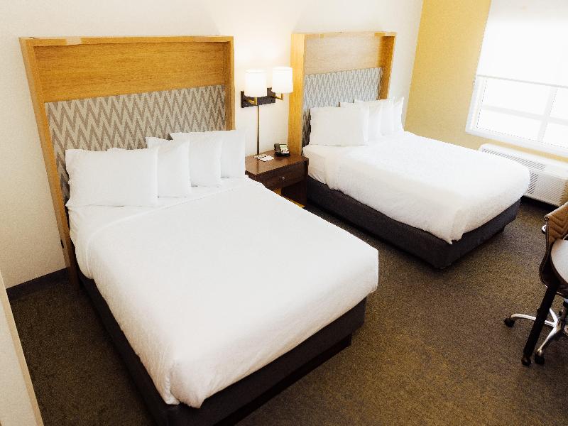 Holiday Inn Hotel And Suites Hopkinsville - Conven image