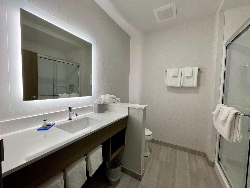 Holiday Inn Express & Suites Ft. Smith - Airport image