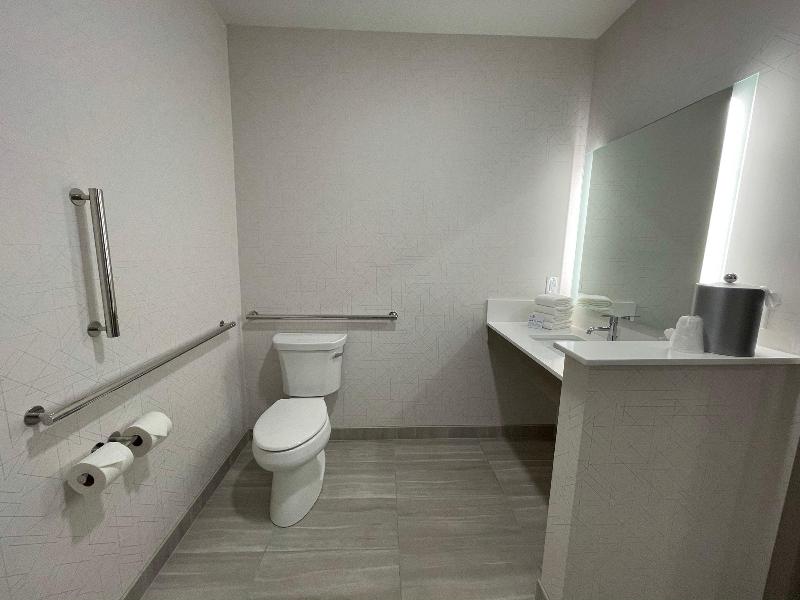 Holiday Inn Express & Suites Ft. Smith - Airport image