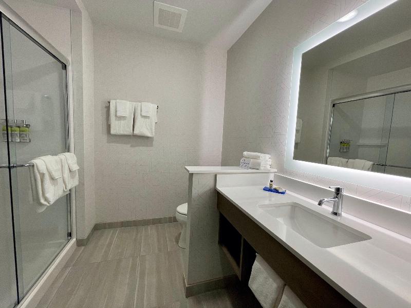Holiday Inn Express & Suites Ft. Smith - Airport image