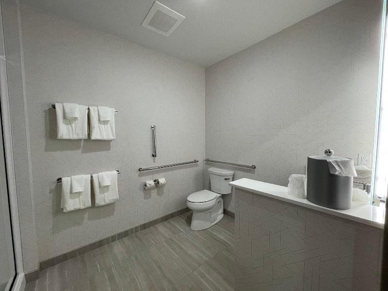 Holiday Inn Express & Suites Ft. Smith - Airport image