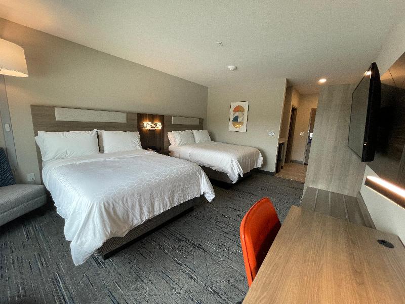 Holiday Inn Express & Suites Ft. Smith - Airport image