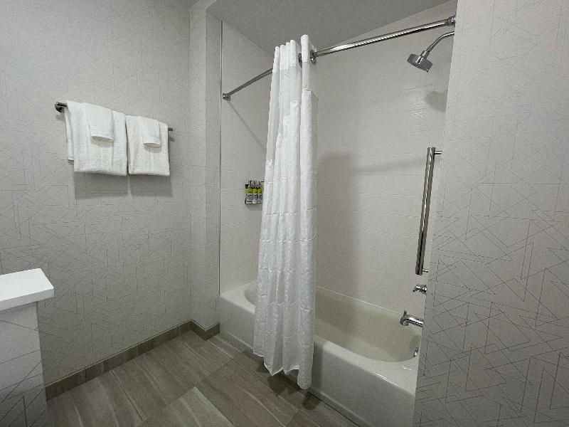 Holiday Inn Express & Suites Ft. Smith - Airport image