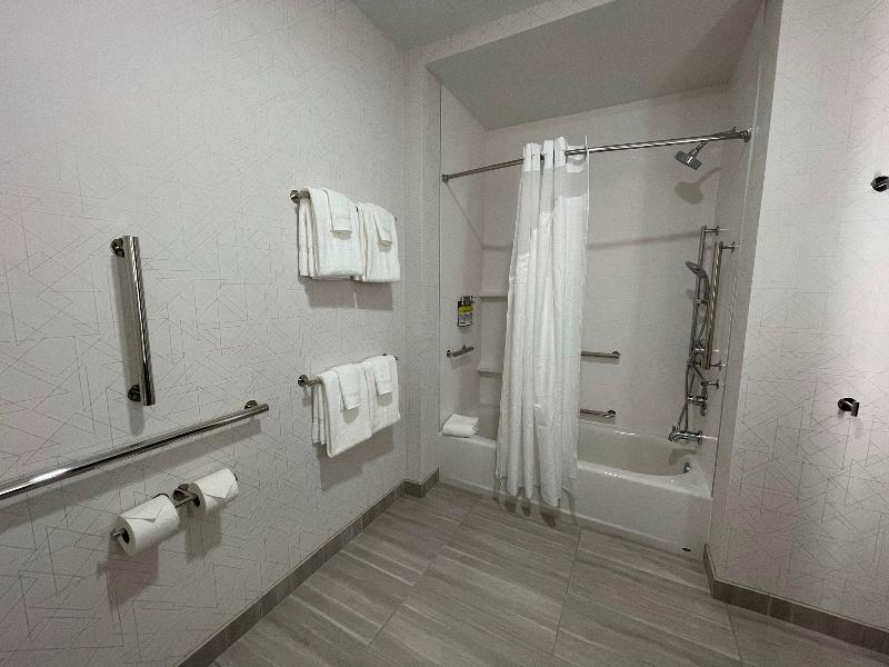 Holiday Inn Express & Suites Ft. Smith - Airport image